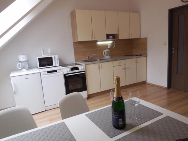 Apartman Kamenice Kamenice nad Lipou Exterior photo
